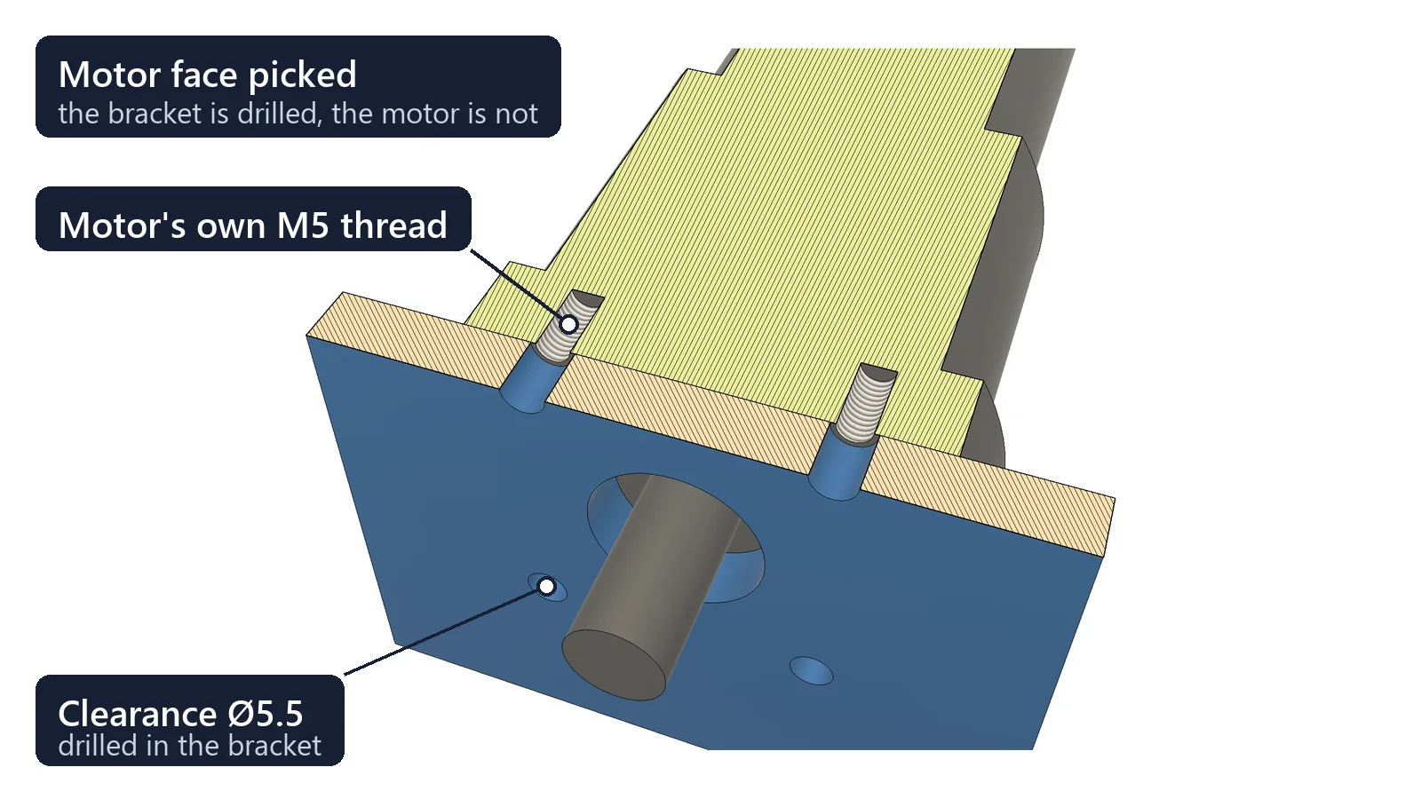 A gear motor and its bracket cut through two of the four holes with Fusion Section Analysis: the bracket's 5.5 mm clearance holes in line with the motor's own M5 threads